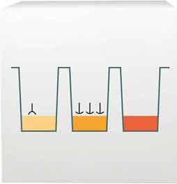 FMD Food Allergy Test step 2