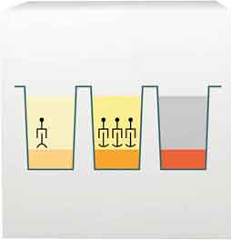FMD Food Allergy Test step 3